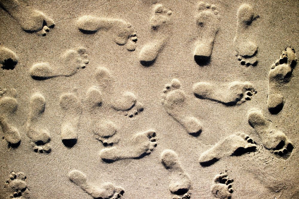 Dementia Footprints time travel