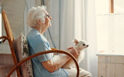 How To Help When A Pet Owner Develops Dementia
